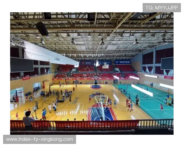 场馆升级：智能化改造提升球迷观赛体验与服务效率，体育场馆智能化解决方案