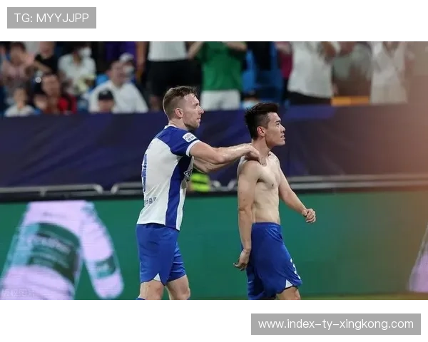 国际比赛中的禁区战术被分析师作为研究案例，禁区进攻犯规