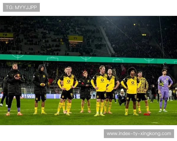 多特蒙德本赛季战绩稳健，多特蒙德各赛季阵容