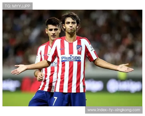 本菲卡瞄准哈兰德式高塔前锋，打造终极攻击矩阵